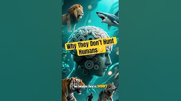 Why Apex Predators Don’t Hunt Humans 🔥😳