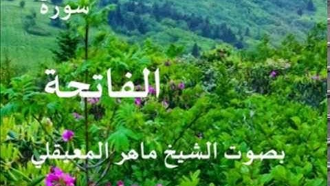 سورة الفاتحة بصوت الشيخ / ماهر المعيقلي 1
