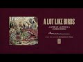 A Lot Like Birds "A Satire Of A Satire Of A Satire Is Tiring"