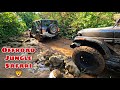 Offroading in Jungle🦁 with New Mahindra Thar, Thar 700, Pajero , Gypsy, Thar Crde