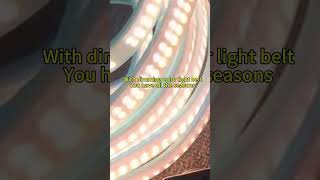 Lights All Year Round foryou homelighting ledlighting striplight striplights