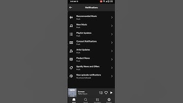 turn off notifications on spotify