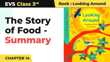 Class 3 EVS Chapter 14 | The Story of Food - Summary