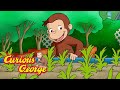 Curious george  the magic garden  kids cartoon  kids movies s for kids 