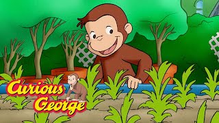 Curious George 🌱 The Magic Garden 🌱 Kids Cartoon 🐵 Kids Movies 🐵 Videos for Kids 🌱