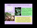Дубынин В. А. - Физиология сенсорных и двигательных систем - Лекция 9