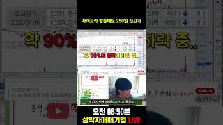 사이드카 발동에도 250일 신고가 #short