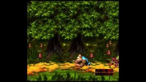 Riverside Race 103% Walkthrough - Donkey Kong Country 3 Dixie Kong