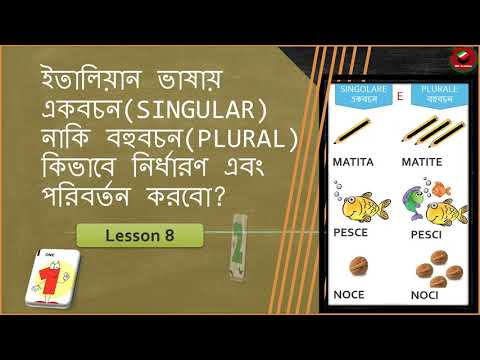 ভিডিও: একবচন নাকি বহুবচন?