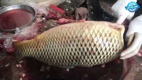 Cá Chép Giòn - Cách Phi Lê Cá Chép Giòn