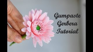 Gumpaste Gerbera Tutorial.Гербера из мастики. Sugar Flowers. Fondant Flowers.