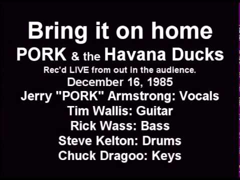 Bring it on Home by Pork & the Havana Ducks LIVE 1...