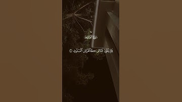 سورة القارعة 🤍 #قران #quran #قران_كريم #Allah #اللهم_صلي_على_نبينا_محمد