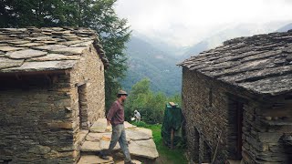 #81 Parents visiting, Pointing Walls, Home-made Apple Pie, Clearing Forest