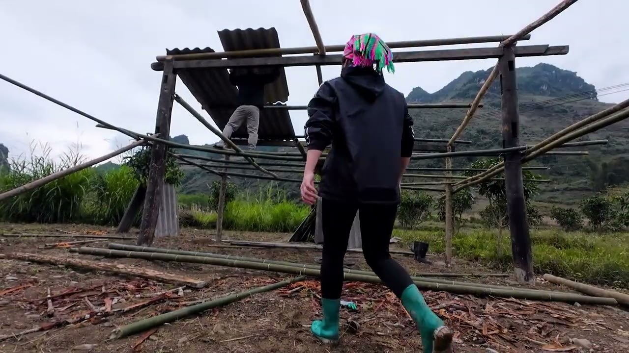 Building a Small Shelter to Survive the Cold | Simple Life in the Wild | ASMR