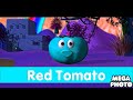 Red Tomato Toyor Baby English In Percy 