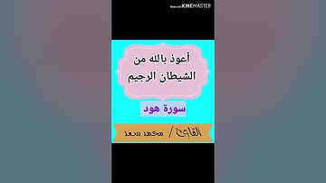 فاستقم كما أمرت ومن تاب معك - تلاوة خاشعة