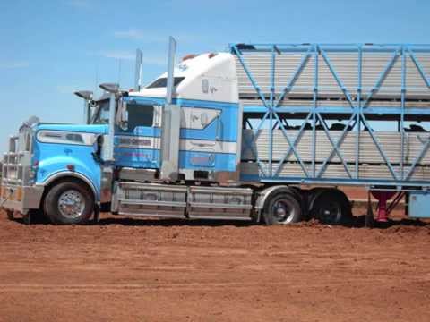 kenworth cattle truck