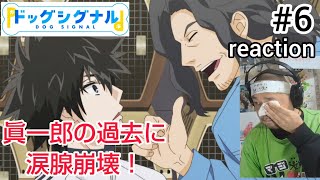 ドッグシグナル 同時視聴