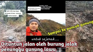 PENDAKI GUNUNG LAWU INI TERSESAT!! DI TUNTUN JALAN SAMA BURUNG JALAK PENUNGGU GUNUNG LAWU