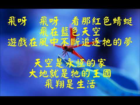 紅蜻蜓     小虎队