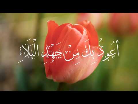 دعاء اللهم اني اعوذ بك من جهد البلاء ودرك الشقاء وسوء القضاء