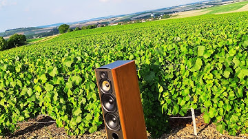 Paradigm Studio 100 V2 Hifi Nature #12