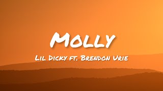 Lil Dicky ft. Brendon Urie - Molly (Lyrics)