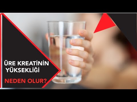 Üre yüksekliği / Kreatinin yüksekliği neden olur?