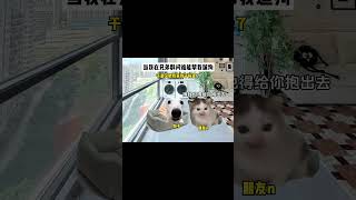 #猫meme #猫meme小剧场 #猫meme日常 #搞笑 #memes #内容过于真实