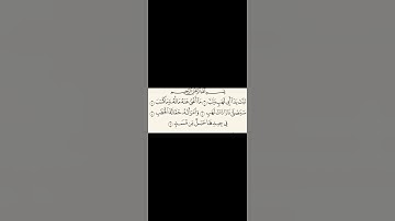سورة المسد بصوت عامرالكاظمي
