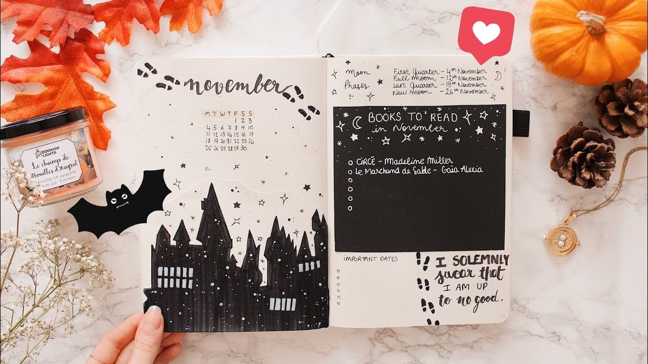 MON BULLET JOURNAL DE NOVEMBRE ⚡️ - YouTube