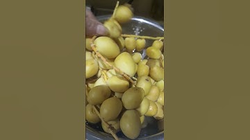 fresh dates or tamar #asmr #riyadh #food #iloveriyadh #short #shortvideo