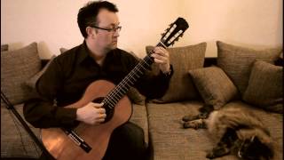 Adagio (Albinoni) for Classical Guitar chords