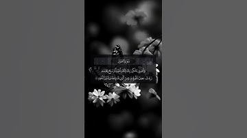 تلاوة خاشعة بصوت القارئ سعد الغامدي #سعد_الغامدي #اكسبلور