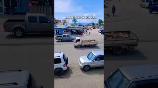 Honiara pacific solomonisland shorts