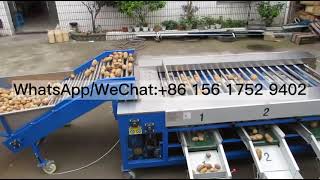 Celebrity Fruit Vegetable Grader Fruit Sorting Machine Broccoli potato strawberry rail classifier Machine Net Worth