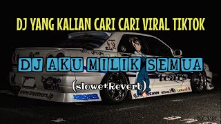 DJ AKU MILIK SEMUA X HABIBI (SLOWED REVERB)| VIRAL TIKTOK 2024 🎧