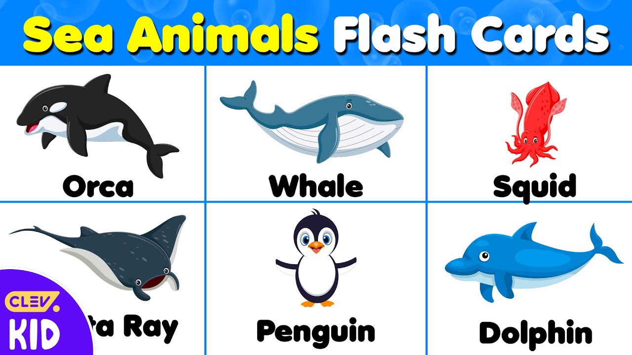 ClevKid | Learn Sea Animals for Kids Ocean Animal Names with Fun ...