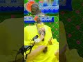 Premanand Maharaj: The Speech That Will Change Your Life Forever!"