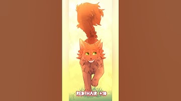 How similar are you? #cat #warriorcat #warriors #warrior #thewarrior #catswarrior