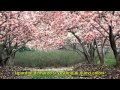I Giardini Di Marzo Lucio Battisti Video Con Testo I Giardini Di Marzo Lucio Battisti Video Con Testo