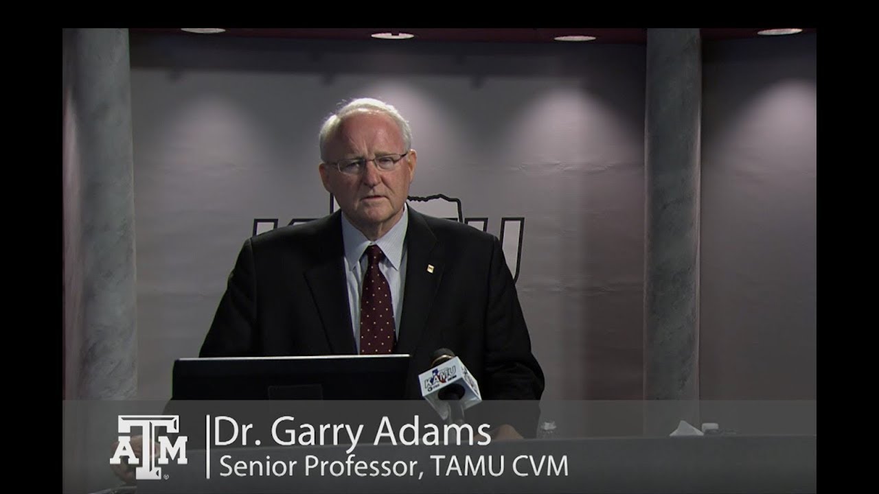 Hitting the Mark: Precision Medicine in Humans and Animals