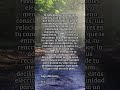 ALINEA TU VIDA   #amor #poemasescritos #frases