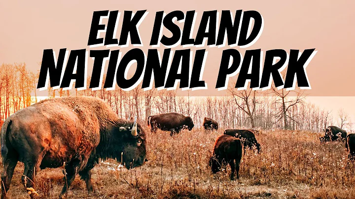 VAN LIFE CANADA - Elk Island National Park