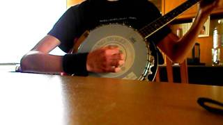 Flogging Molly - Light of a fading star ( Tenor banjo cover )