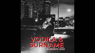 BUSHIDO ZHO - vodila x surname (BUSHIDO ZHO - vodila & Big Baby tape - Surname Мэшап)