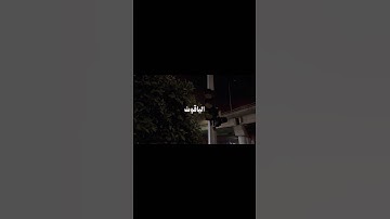 كَأَنَّهُنَّ الياقوتُ وَالمَرجانُ✨💗|| أجمل حالات واتس آب قرآن - بصوت القارئ علي جابر🖇️🌿