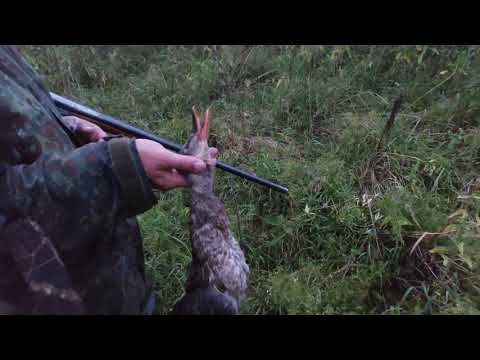 Открытие охоты/Лучшие моменты/Охота на утку/Early Season Opening Day/Hunting