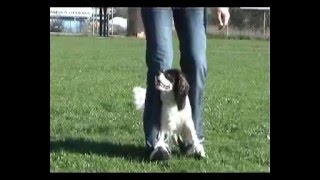 Tricks Part1 By Iris